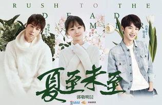 夏至 在线观看,时光流转的浪漫邂逅